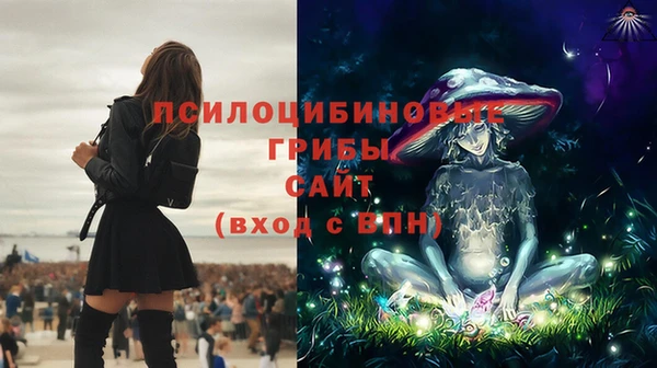 шишки Волоколамск