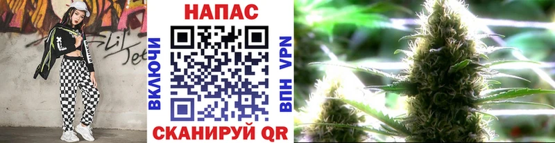 наркотики  Шимановск  блэк спрут зеркало  darknet какой сайт  Бошки Шишки семена 